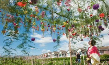 Lang weekend vol bloemen en kunst tijdens Aalsmeer Flower Festival