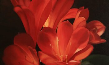 KunstRondeVenen zegt het met bloemen