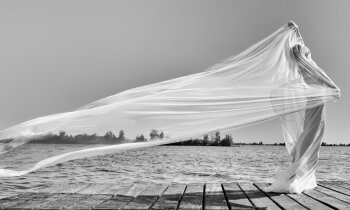 Fotoworkshop De Ronde Venen zit niet stil