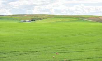 Hoe is de digitalisering van de juridische identiteit gerelateerd aan ecologie?