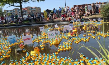 Prachtige dag en hartverwarmende opbrengst bij badeendenrace in Mijdrecht
