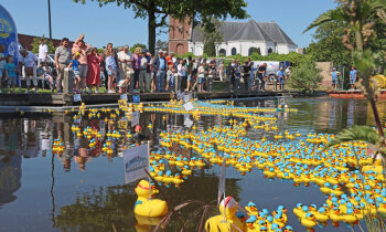 Geen afbeelding