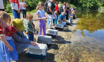 Open dag Vogel- en Zoogdierenopvang De Toevlucht op zondag 28 juni