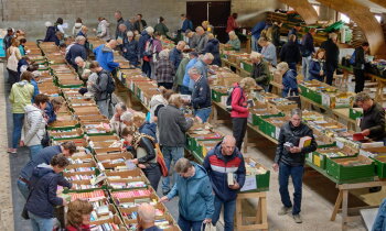 Succesvolle snuffelmarkt krijgt vervolg met grote tweedaagse boekenmarkt in Mijdrecht