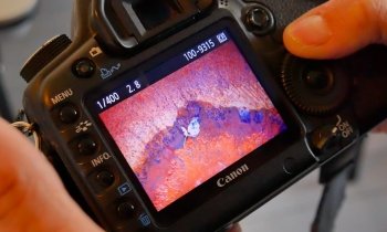 Online Open avond Fotoworkshop De Ronde Venen