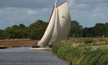 De 40e Turfrace