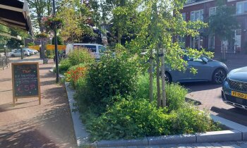 Geen afbeelding