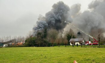 Brand in stal Kockengen: 19 koeien omgekomen