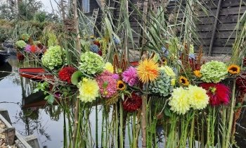 Bloemen, kunst en activiteiten tijdens Aalsmeer Flower Festival