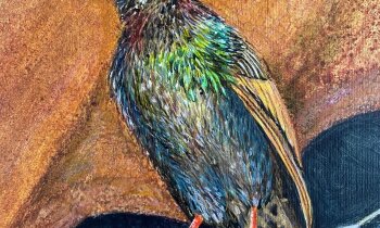 Veelzijdige duo-expositie bij KunstRondeVenen