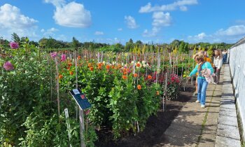 Openbare herfstrondleiding in de Historische Tuin