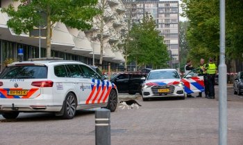 Geen afbeelding