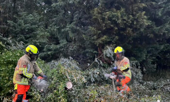 Harde wind blaast boom om in Waverveen