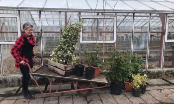 Verkoopdag Historische Tuin is dit jaar online