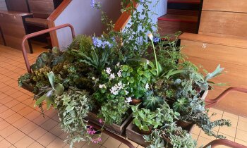 Verkoopdag Najaar in Historische Tuin