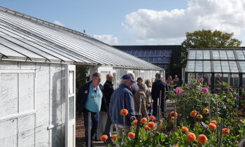 Drie activiteiten in Historische Tuin komend weekend