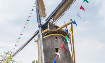 Geen afbeelding
