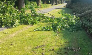 Let op: vallende takken bij droog en warm weer