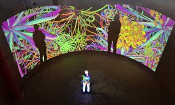 Tentoonstelling Flower Power in the Water Tower vanaf 18 december