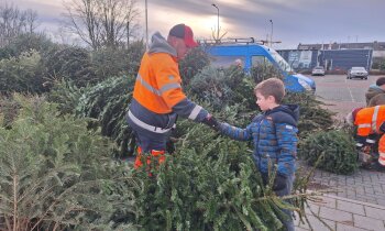 Inzameling kerstbomen Aalsmeer en Kudelstaart op 7 en 8 januari