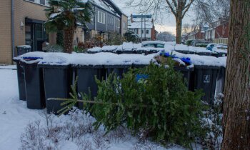 Winterse omstandigheden zorgen voor volle containers in Mijdrecht