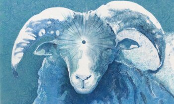 KunstKado in de Lindeboom