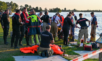 Duiker gewond bij duikgebied Vinkeveense Plassen