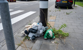 Zacht protest op een harde plek: knuffels waarschuwen voor gevaarlijk zebrapad