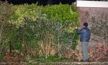 Buurtbewoners blussen brandende haag in Mijdrecht