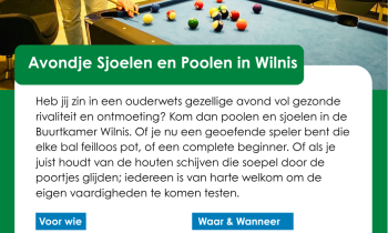 Test je vaardigheden tijdens avond poolen en sjoelen!