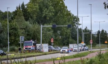 Geen afbeelding