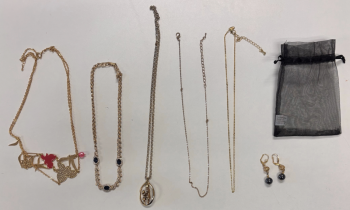 Politie zoekt eigenaar van aangetroffen sieraden in Wilnis