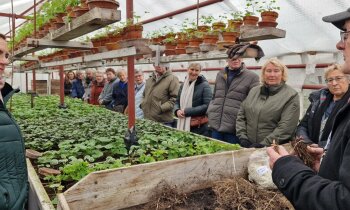 Winteractiviteiten bij Historische Tuin: snertwandeling, film en workshop