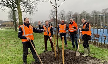 Bomenrenovatie in volle gang