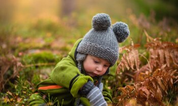 Natuurbeleving bij de Mama Lokalen