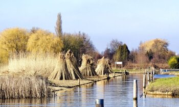Geen afbeelding
