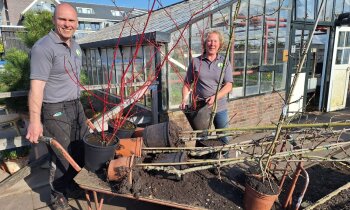 Zaterdag 21 maart verkoopdag bij Historische Tuin+