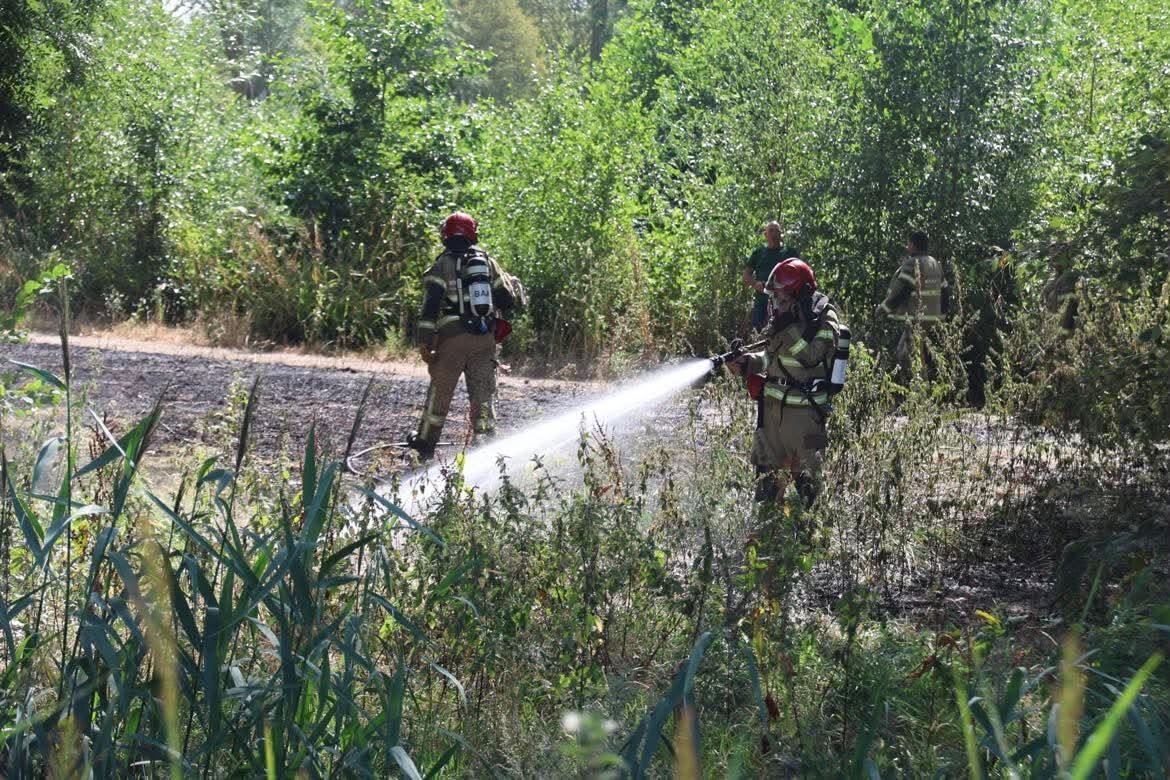 Brand in bosschage recreatiepark Hornmeer snel onder controle