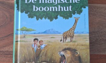 Geen afbeelding