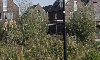 Geen afbeelding