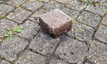 Grindtegels (60x40x5cm) en betonnen klinkers (9,5x9,5x6cm)