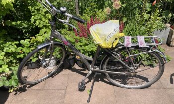 Geen afbeelding