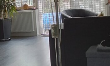 Geen afbeelding
