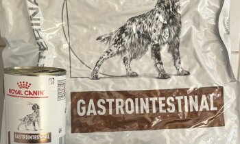 GASTRO INTESTINAL ROYAL CANIN VOER HOND