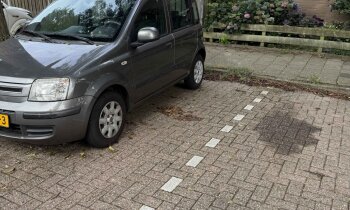 Geen afbeelding
