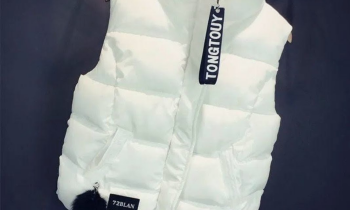 Bodywarmer ( nieuw)