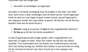Cursus bridge voor gevorderden