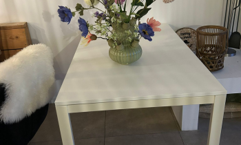 Gratis afhalen: tafel/bureau en bureaustoel